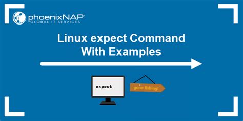 linux expect c.